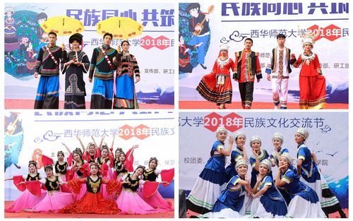 文化交流节系学校首次举办,以"民族同心 共筑中国梦"为主题,通过组织