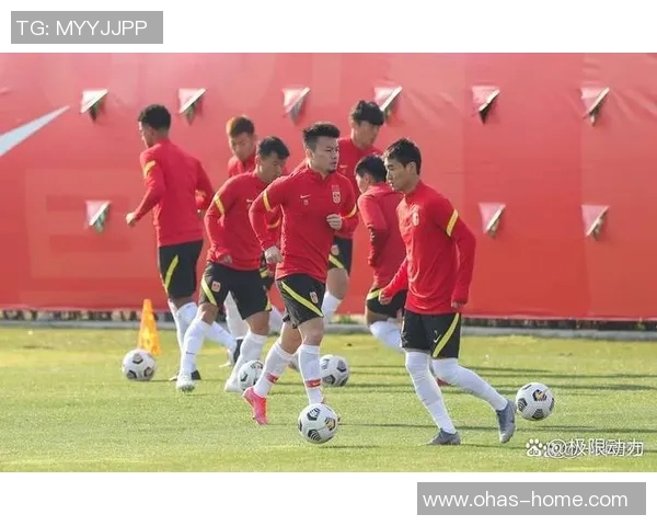 2006世界杯经典对决意大利与德国的惊心动魄之战回顾 2006世界杯经典对决意大利与德国的惊心动魄之战回顾