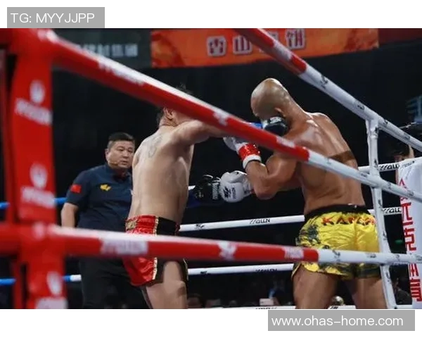 一龙与杀玉狼的巅峰对决谁将成为武林至尊的传奇之战 一龙与杀玉狼的巅峰对决谁将成为武林至尊的传奇之战