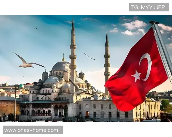 中国与土耳其的较量：文化交流与经济合作的新机遇与挑战